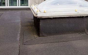 disadvantages of West Chelborough flat roofs