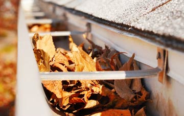 West Chelborough gutter cleaning companies