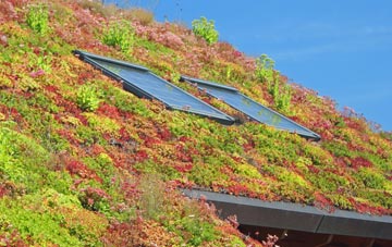 West Chelborough living roof systems